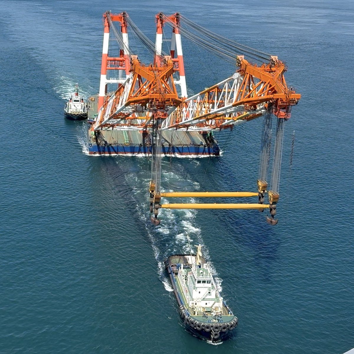 ぽんぽこ tweet media