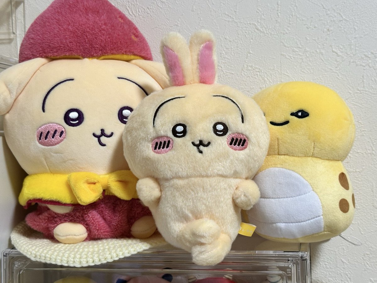 いちご tweet media