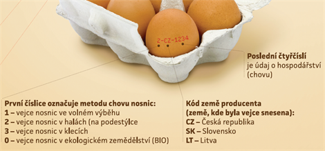 jarada's tweet photo. Prosimvás, holky, když barvíte na velikonoce vajíčka, nechte viditelný ten kód 0/1/2CZ. Ulehčí to práci při konzumaci :) https://t.co/t2552xS1ma