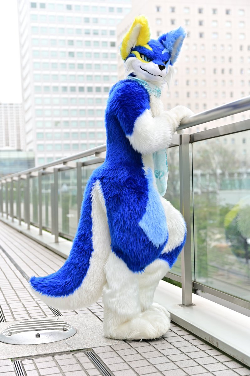 てんりゅー🐺NEXT→未定 (@tenryu_saera212) on Twitter photo 