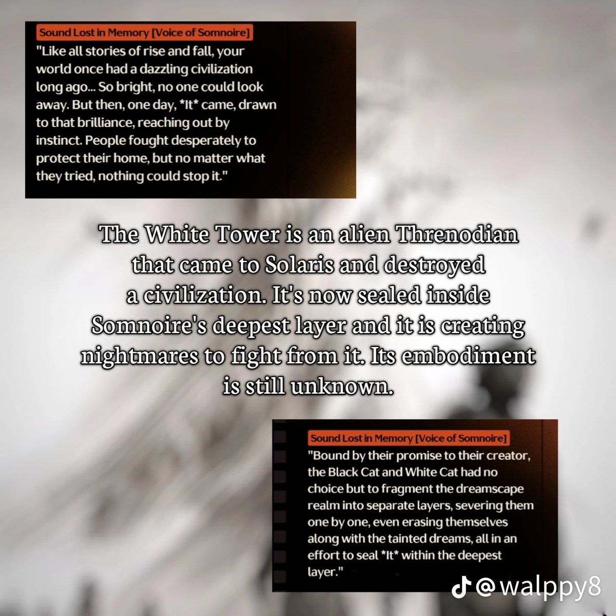 Ima 🪭 tweet media