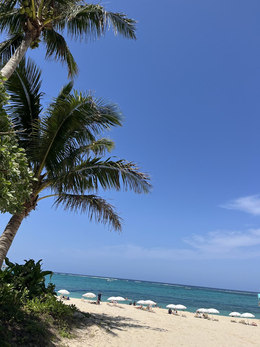 シンディー@MiNX'S🍅No.21 tweet media