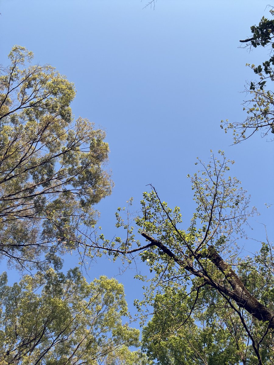 こ は 👼🏻‎ tweet media