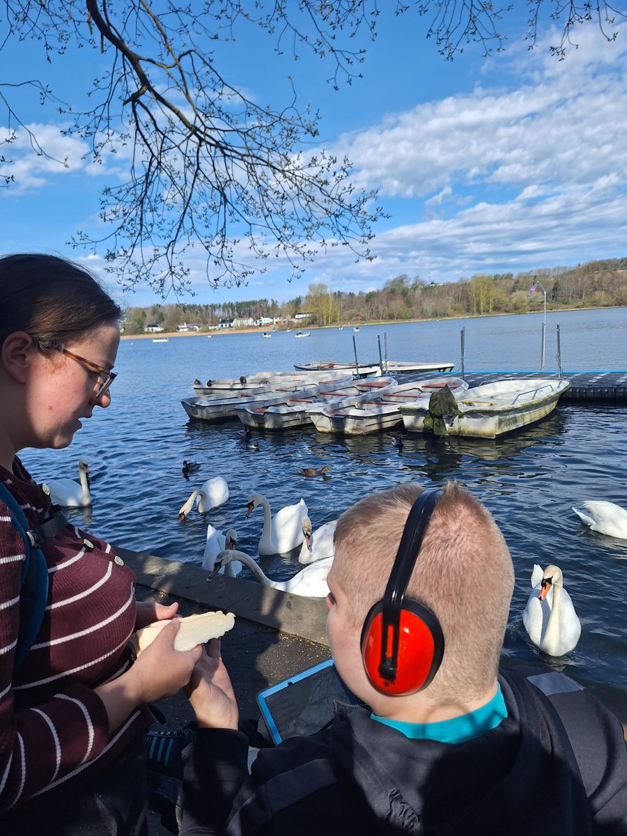 CWDFalkirk's tweet photo. Feeding Ducks at Linlithgow Loch https://t.co/nb19YXdvhV