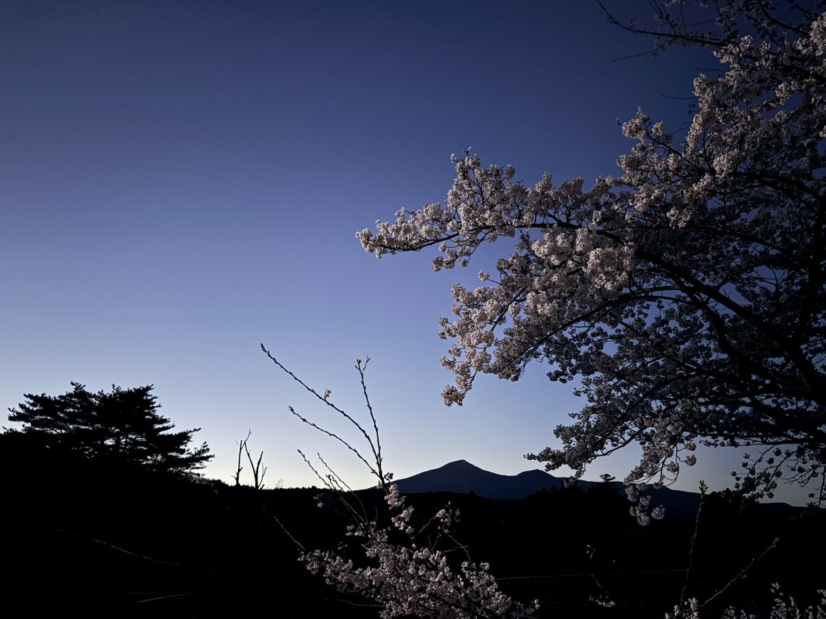 ねっつ🐰🍜 tweet media