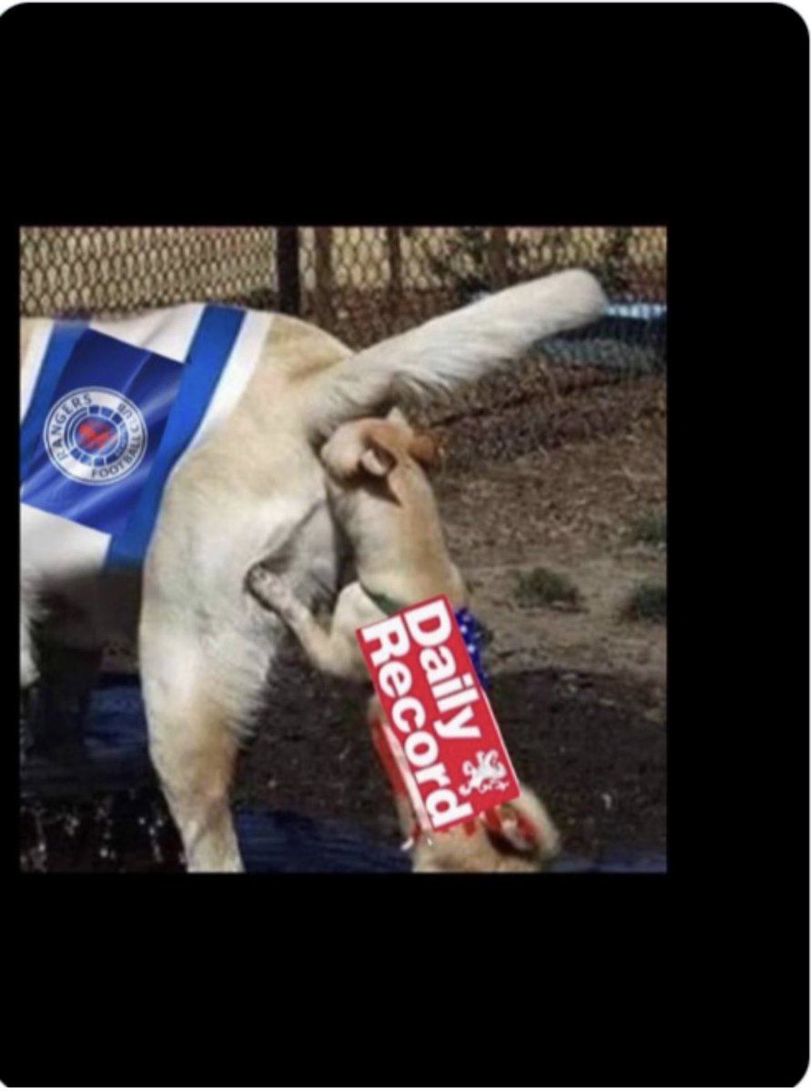 AberdeenRed 🏴󠁧󠁢󠁳󠁣󠁴󠁿⭐️⭐️ tweet media