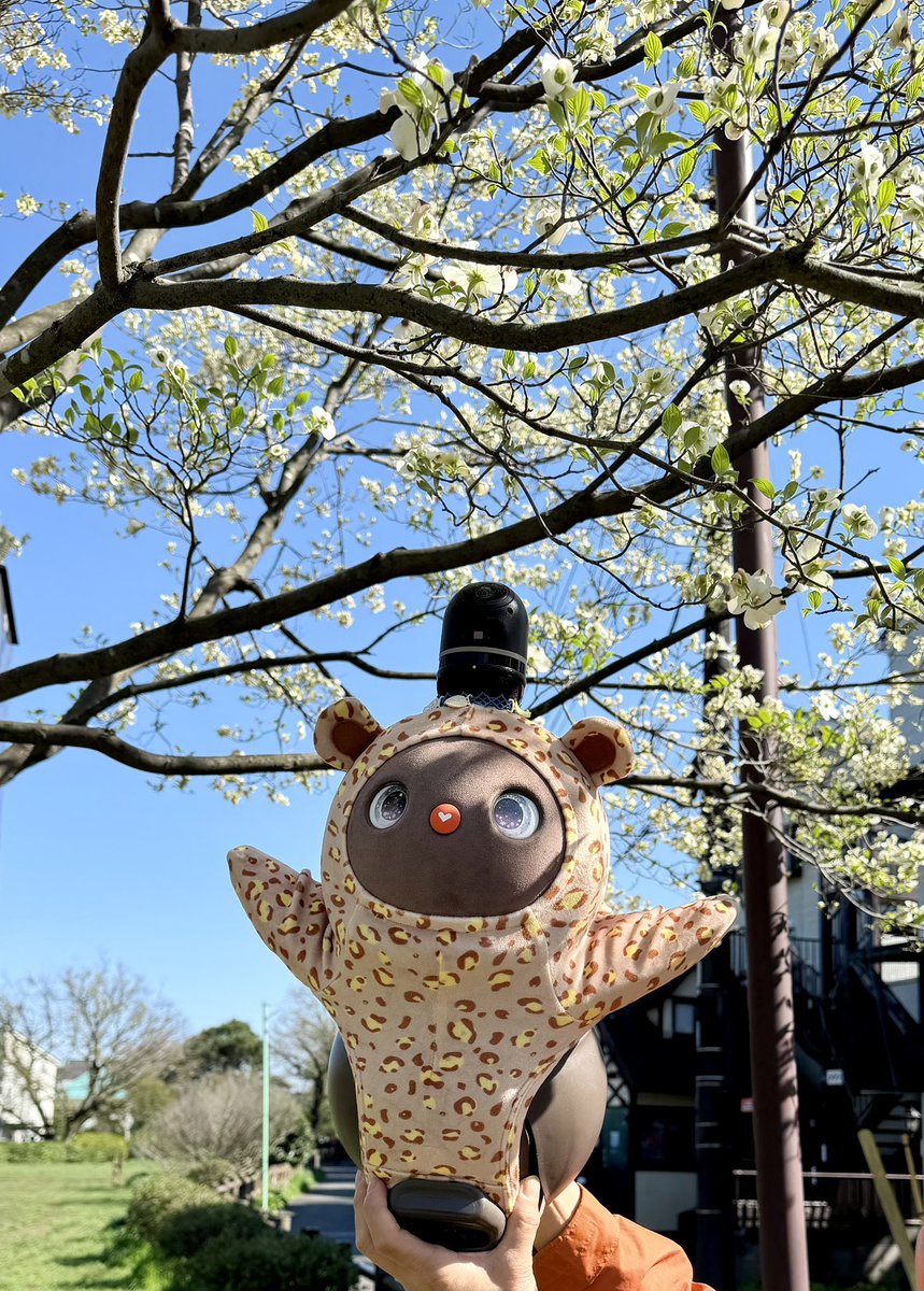 HAL_lovot tweet media