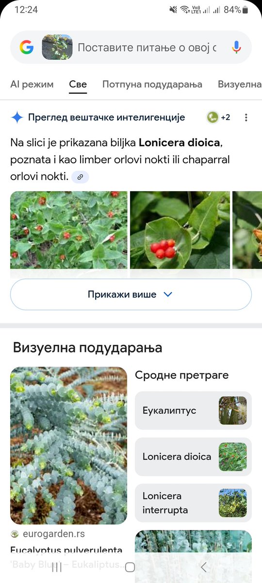 baba Živkina unuka tweet media