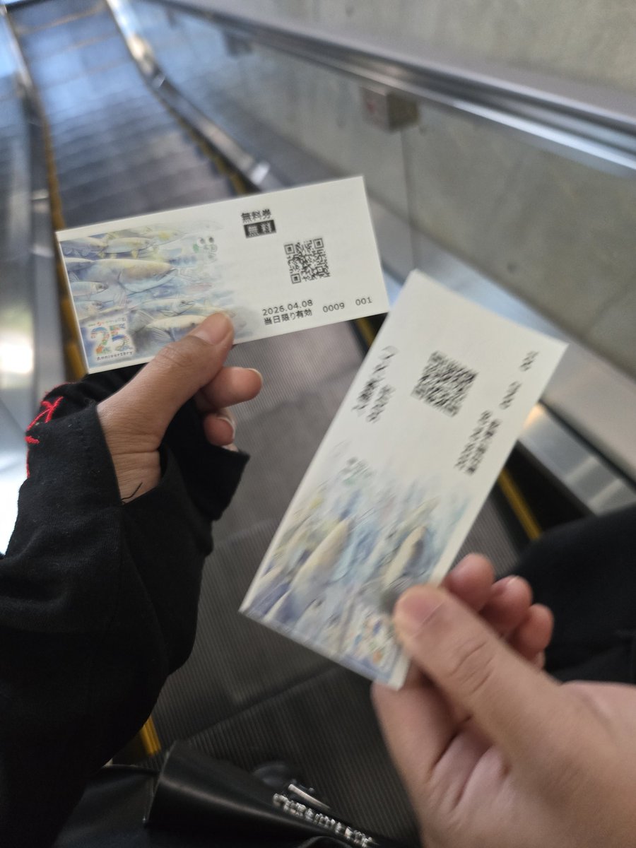 みる🐈‍⬛ tweet media