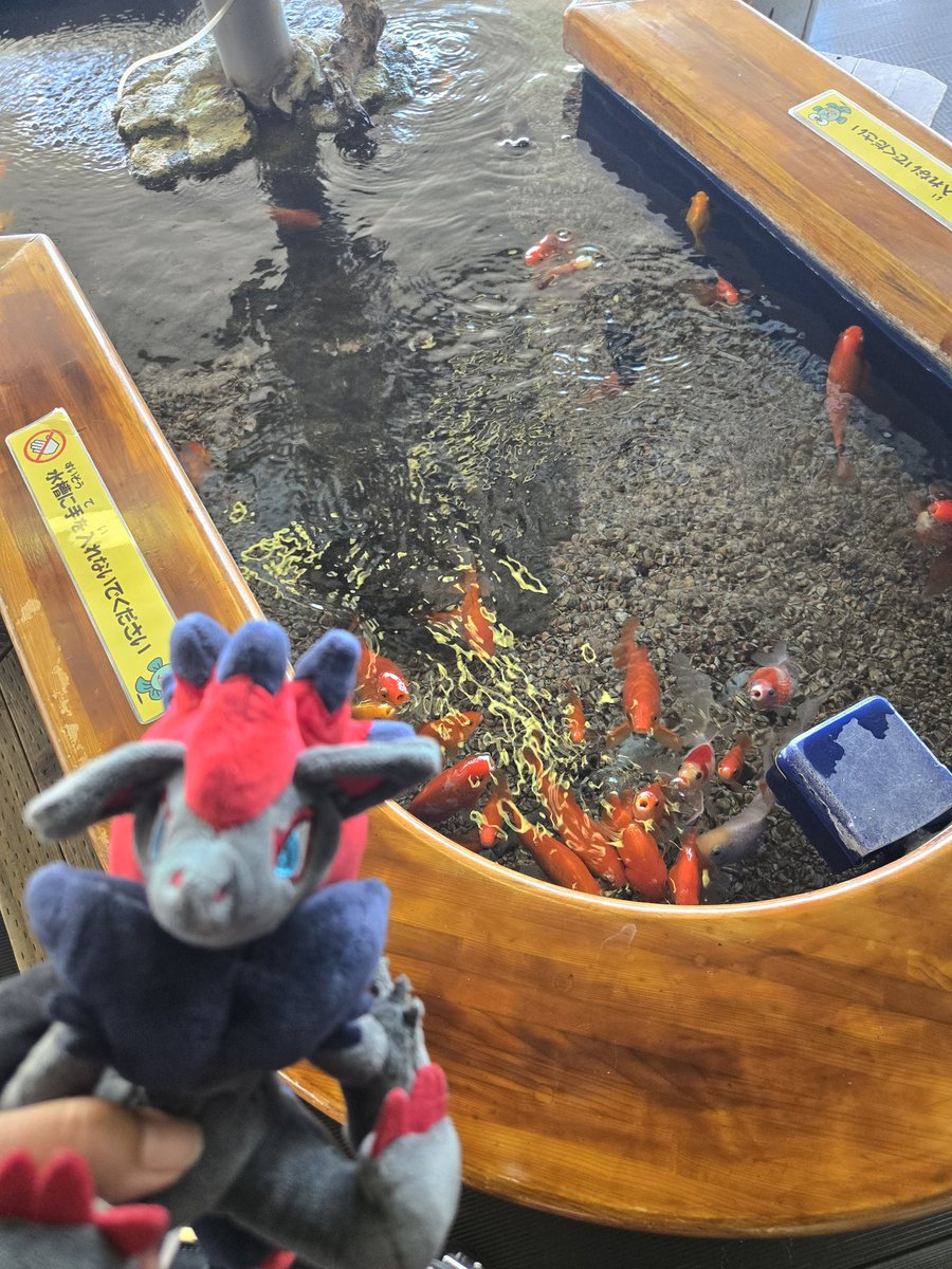 みる🐈‍⬛ tweet media