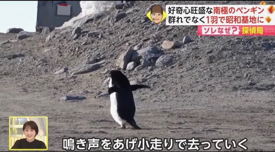 くるくる tweet media