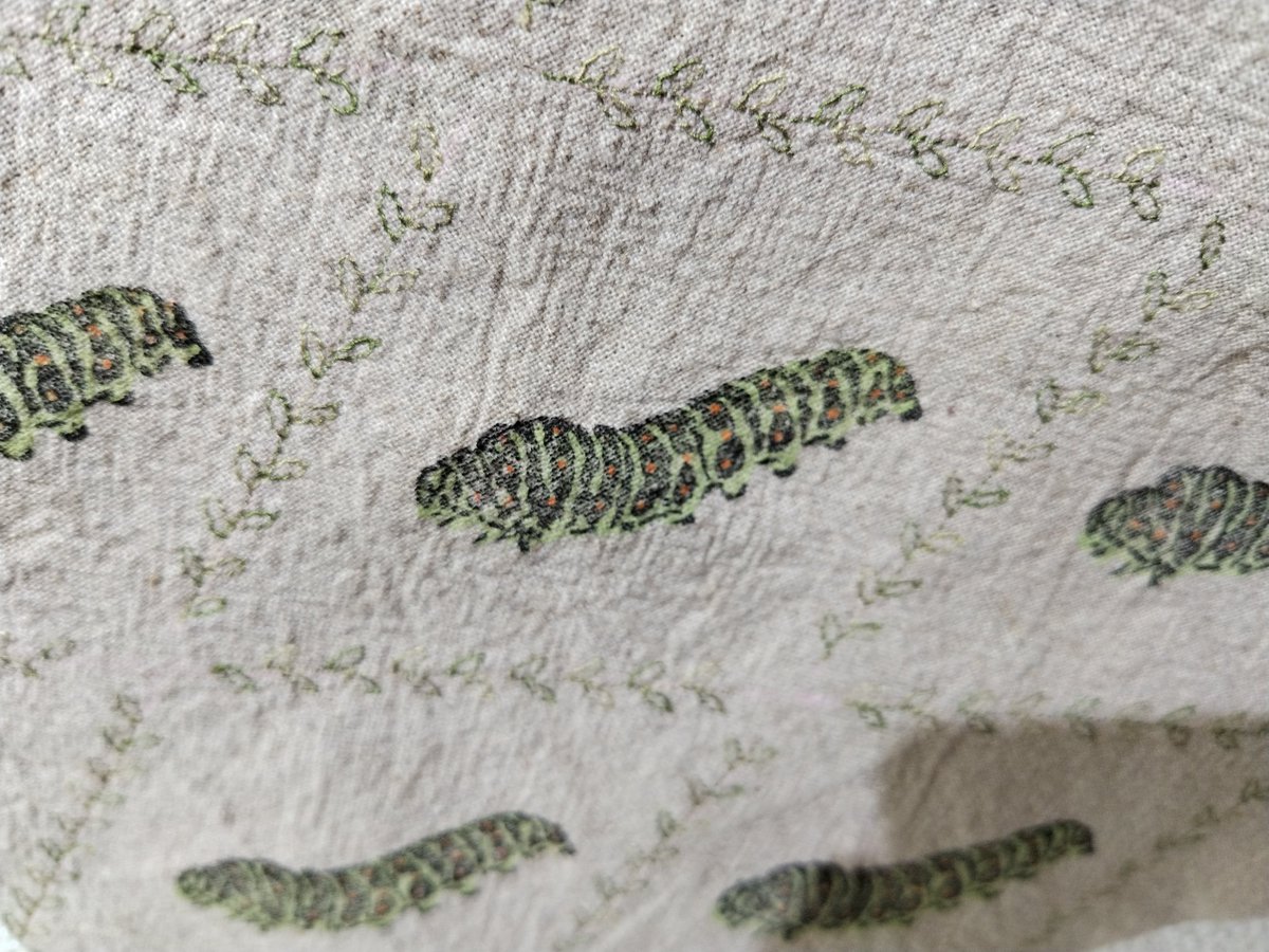 出展させていただきます！よろしくお願いいたします！

#たまごの工房 #mozomozo虫蟲展 #昆虫 #そくらいふ