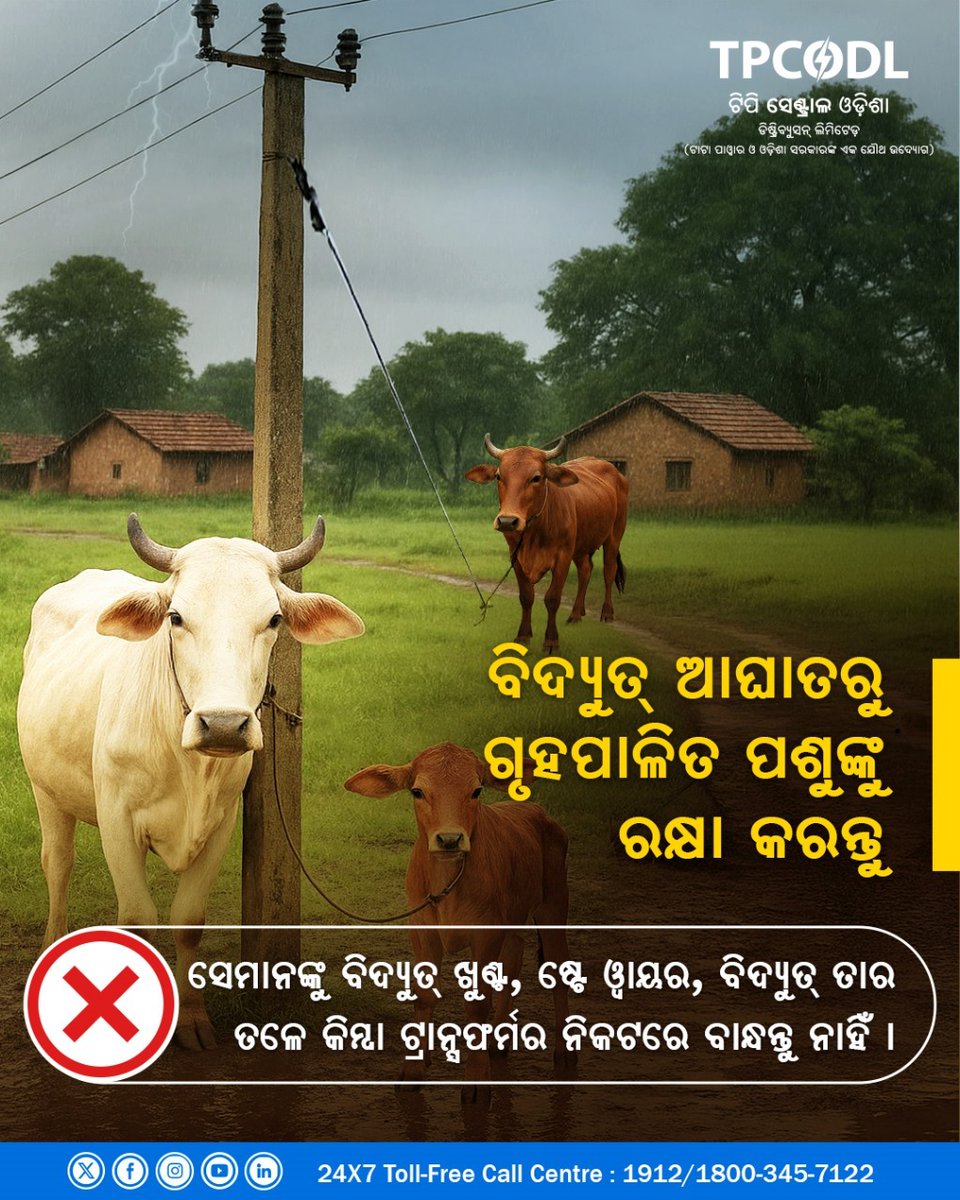 TPCentralOdisha's tweet image. ବିଦ୍ୟୁତ୍ ଆଘାତରୁ ଗୃହପାଳିତ ପଶୁଙ୍କୁ ରକ୍ଷା କରିବା ଆମର ଦାୟିତ୍ବ ।  ବିଦ୍ୟୁତ୍ ଖୁଣ୍ଟ, ଷ୍ଟେ ୱାୟର, ବିଦ୍ୟୁତ୍ ତାର ତଳେ କିମ୍ବା ଟ୍ରାନ୍ସଫର୍ମର ନିକଟରେ ବାନ୍ଧି ସେମାନଙ୍କୁ ବିପଦକୁ ଠେଲନ୍ତୁ ନାହିଁ । 

ଆପଣଙ୍କ ସଚେତନତା ଓ ସତର୍କତା ଗୃହପାଳିତ ପଶୁଙ୍କୁ ସମ୍ଭାବିତ ବିପଦରୁ ରକ୍ଷା କରିବ । 

#TPCODL #ElectricalSafety