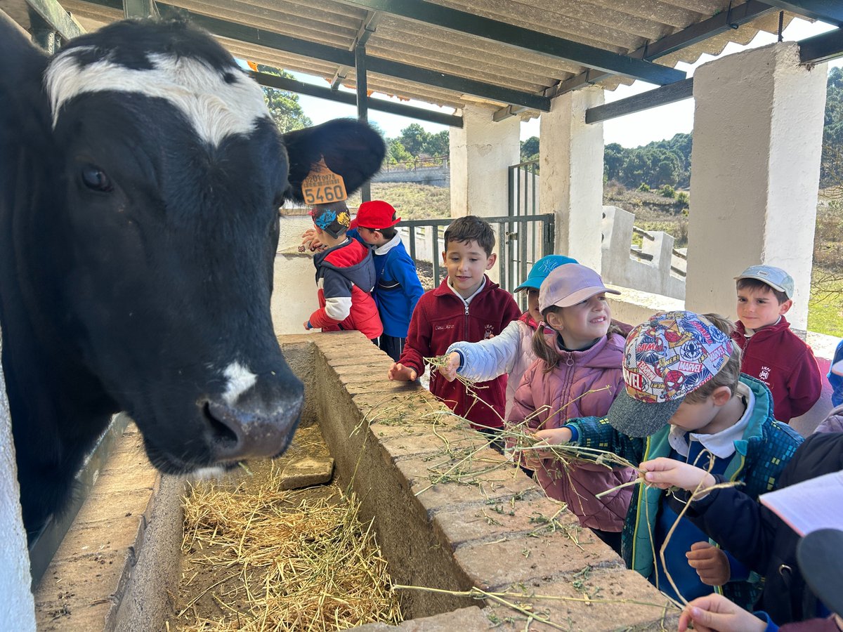 Antes de las vacaciones de Semana Santa, los alumnos de #infantil pudieron disfrutar de unos días maravillosos visitando diferentes  #granjasescuelas.