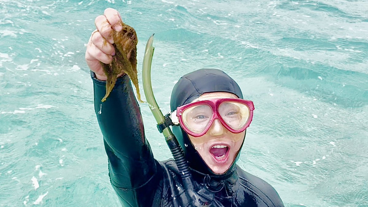 濱口優と秘密基地 tweet media