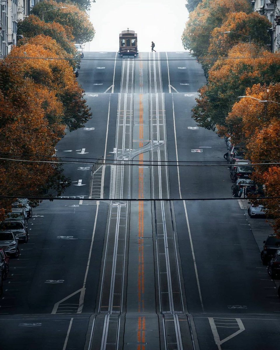 WildscapeWonder's tweet image. San Francisco, California 🇺🇸