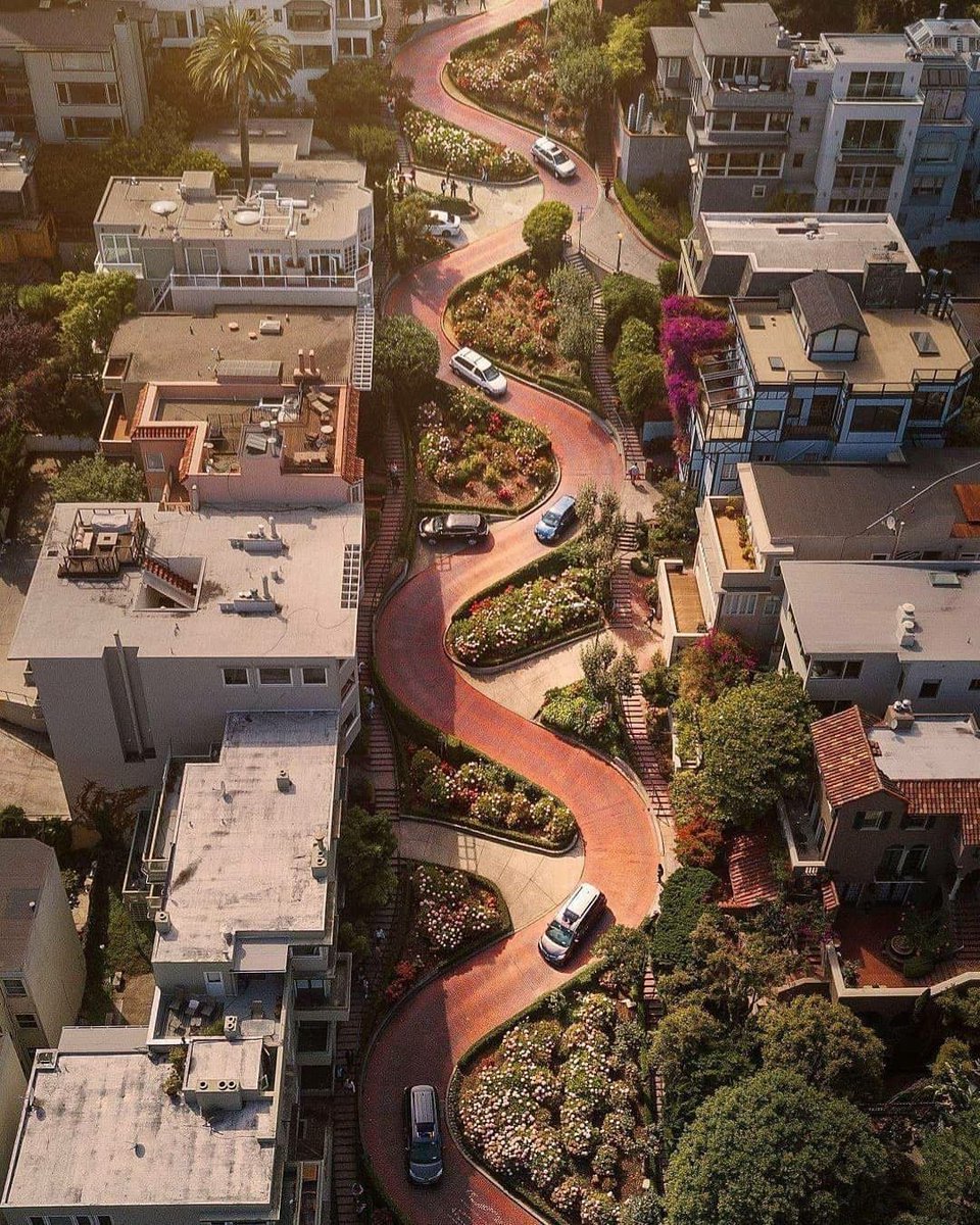 WildscapeWonder's tweet image. San Francisco, California 🇺🇸