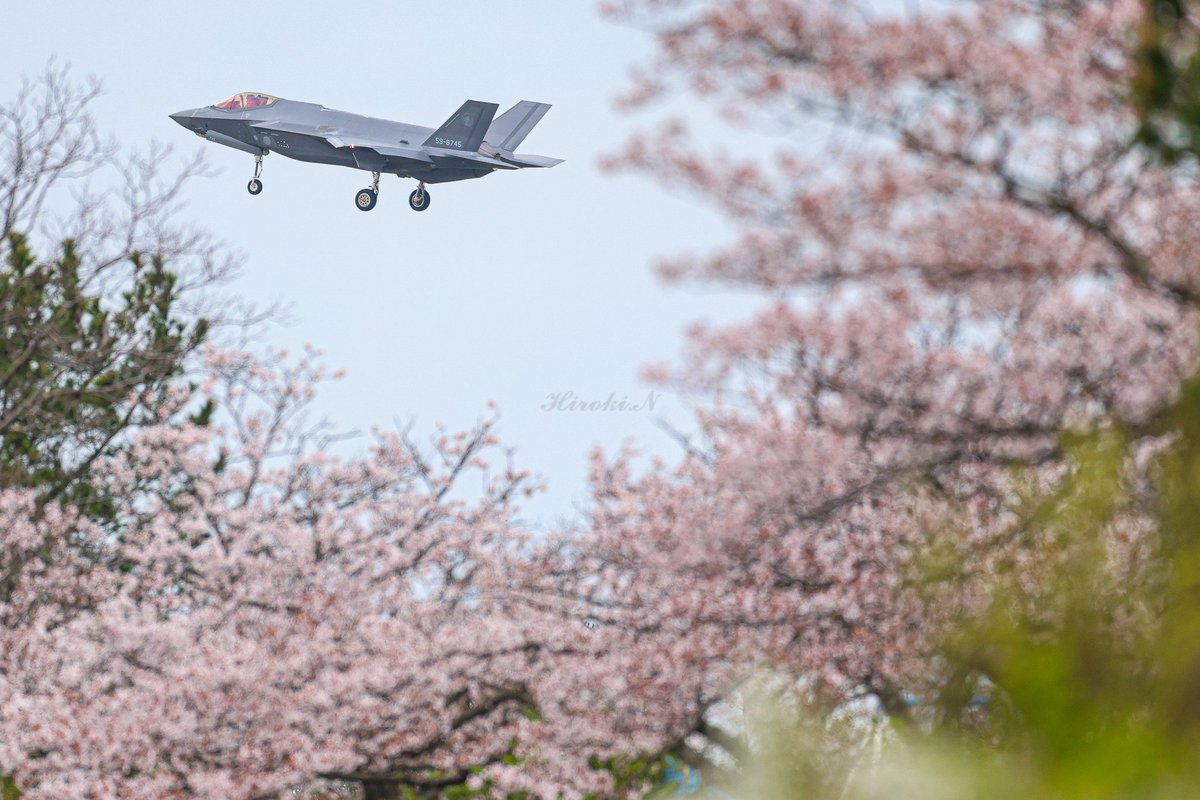 nc39 306 J50 Z naruP tweet media