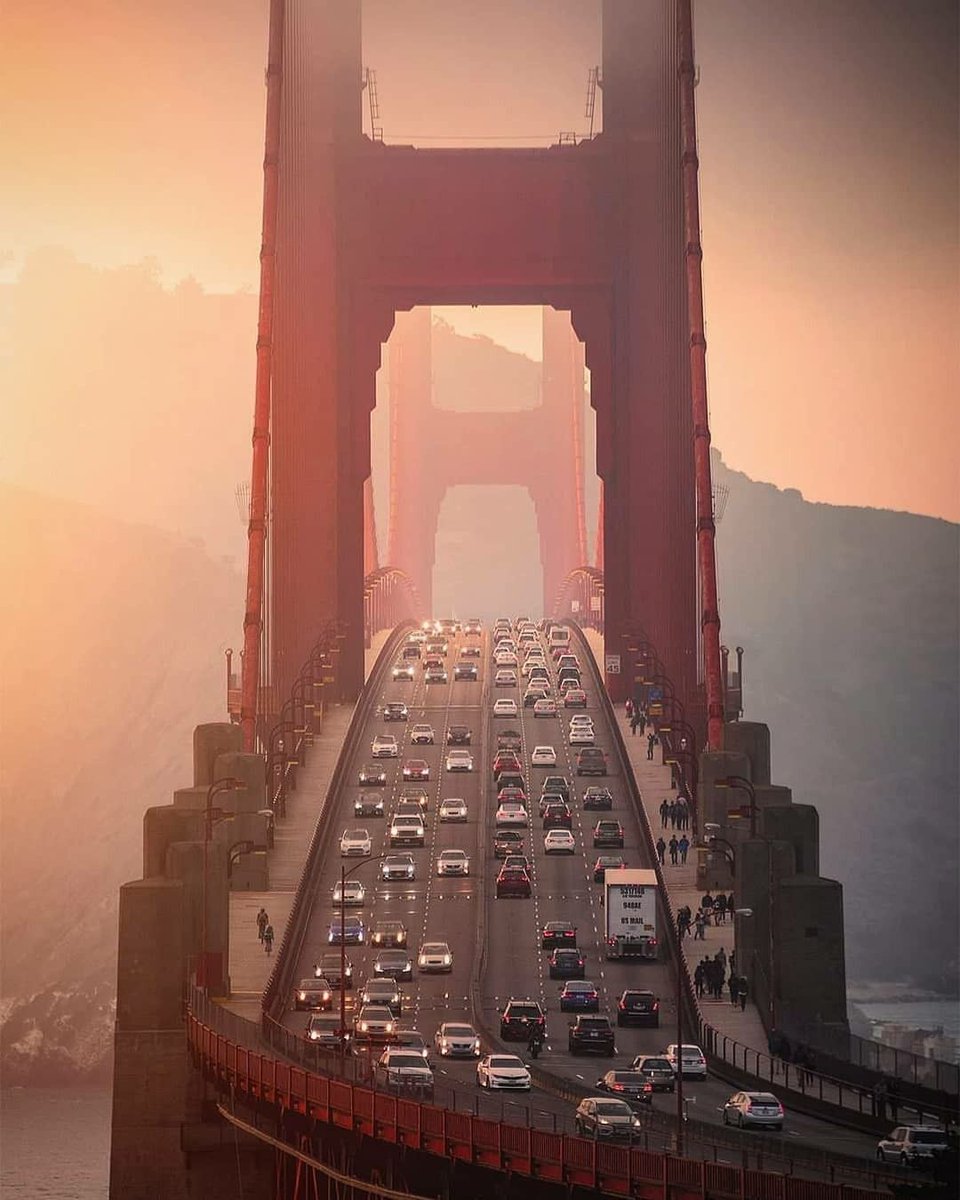 WildscapeWonder's tweet image. San Francisco, California 🇺🇸