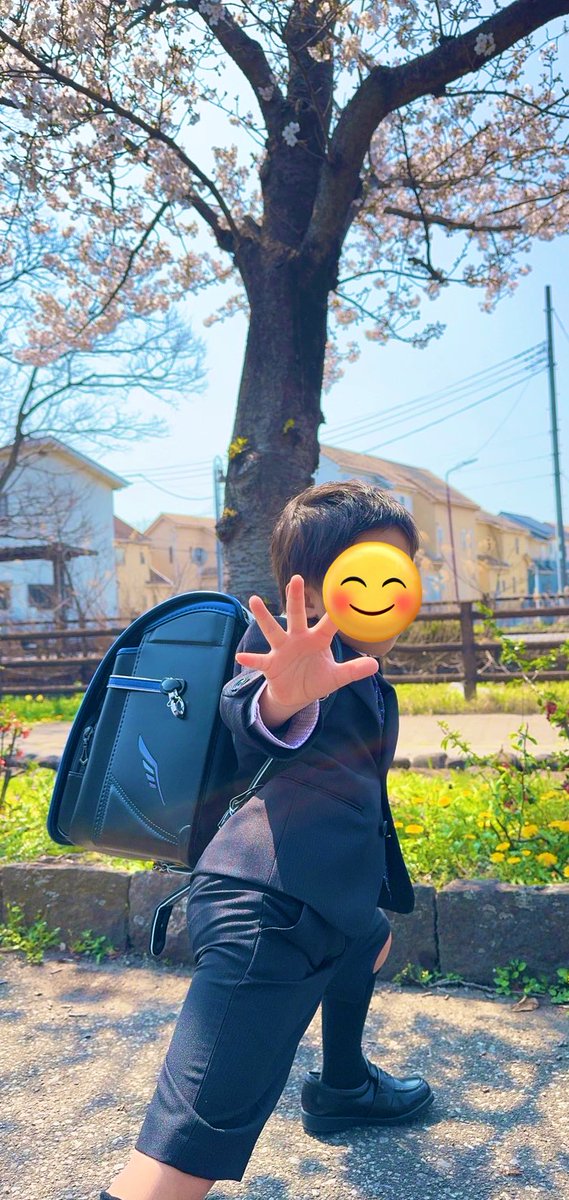 偏頭痛持ちのブタ@そろそろ養豚場 tweet media