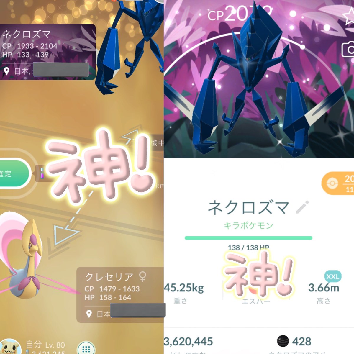 偏頭痛持ちのブタ@そろそろ養豚場 tweet media