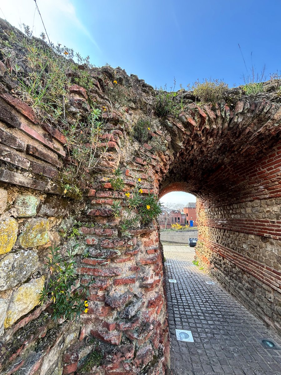 Visit Colchester tweet media