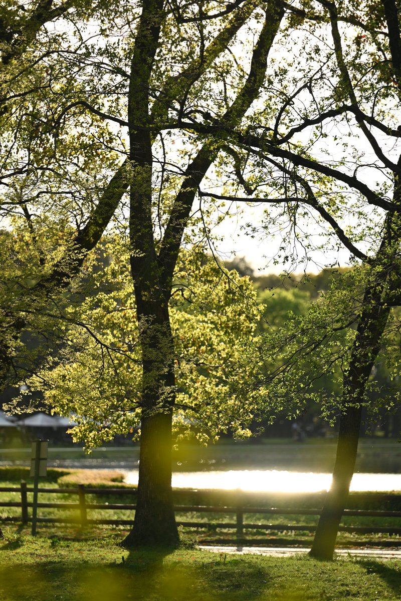 ミゲルん=ラブスピ土曜予定 tweet media