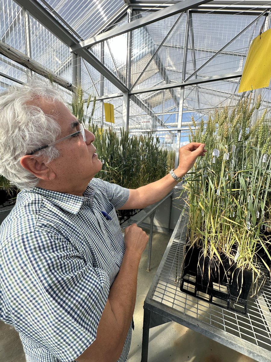 Felicity Harris tweet media