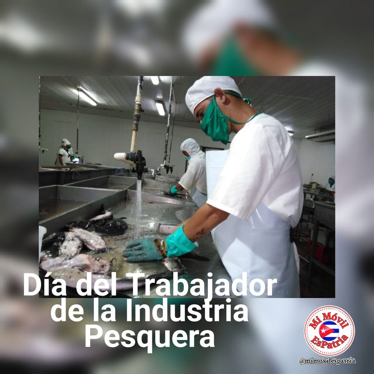 Jorge Madrigal tweet media