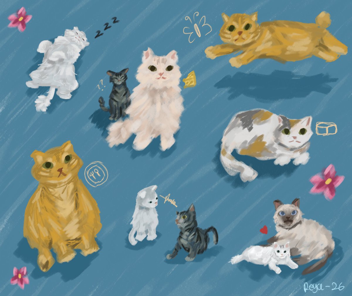 reya🐠²⁹ tweet media