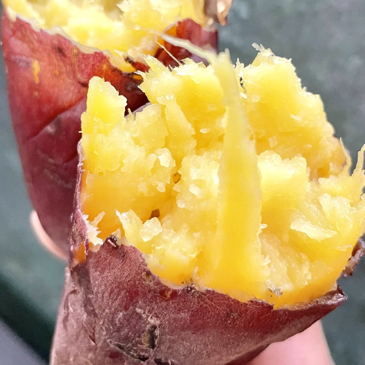 名古屋グルメ探偵 アスカイ tweet media