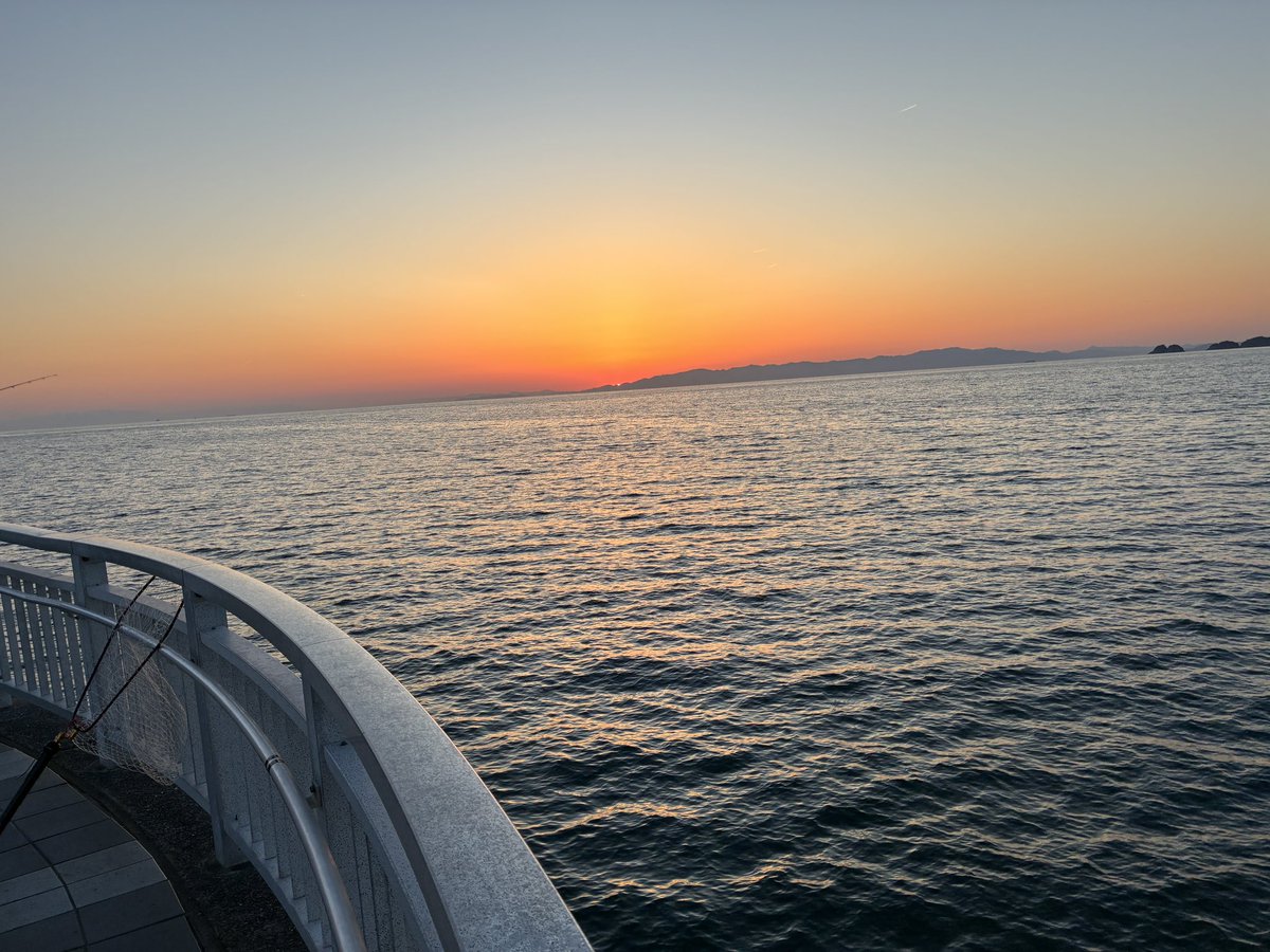 ナンカイテイオー tweet media