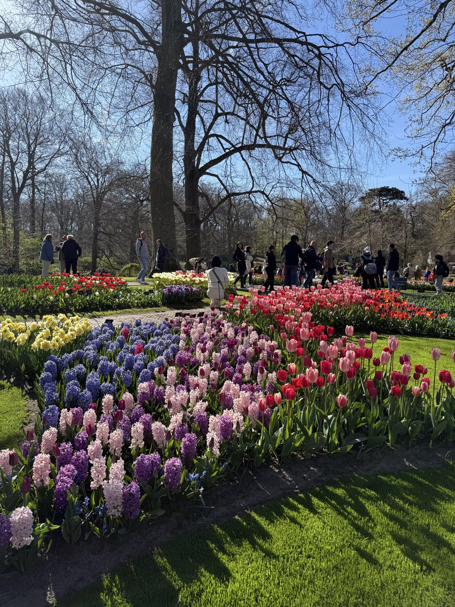 Nuggies 🌸 | vtuber ദ്ദി・ᴗ・)✧ tweet media