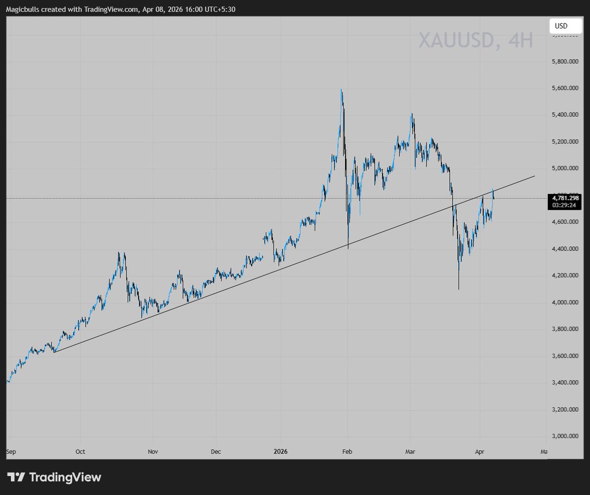 Magicbullindia tweet media