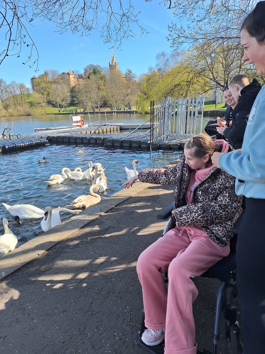CWDFalkirk's tweet photo. Great Fun feeding ducks at Linlithgow Loch https://t.co/jjxk6szjvT