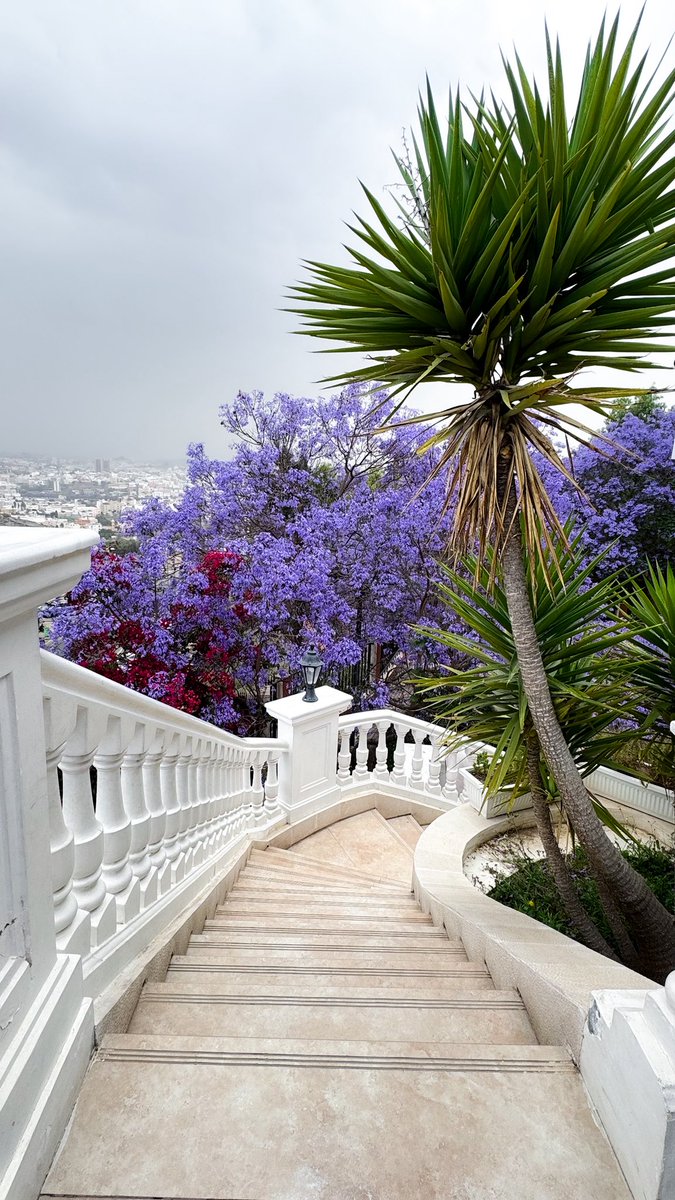 نورة tweet media