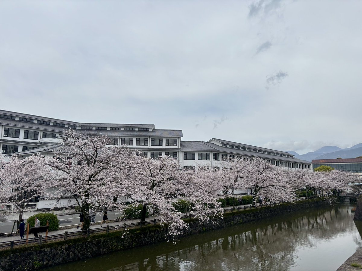 denkiiruca's tweet photo. 小田原城　桜🌸2 https://t.co/eAjIEeWFu2