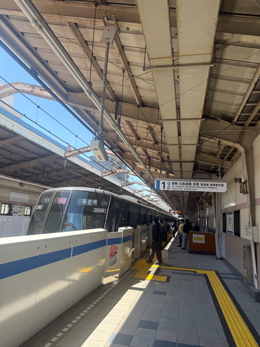 がぉる tweet media