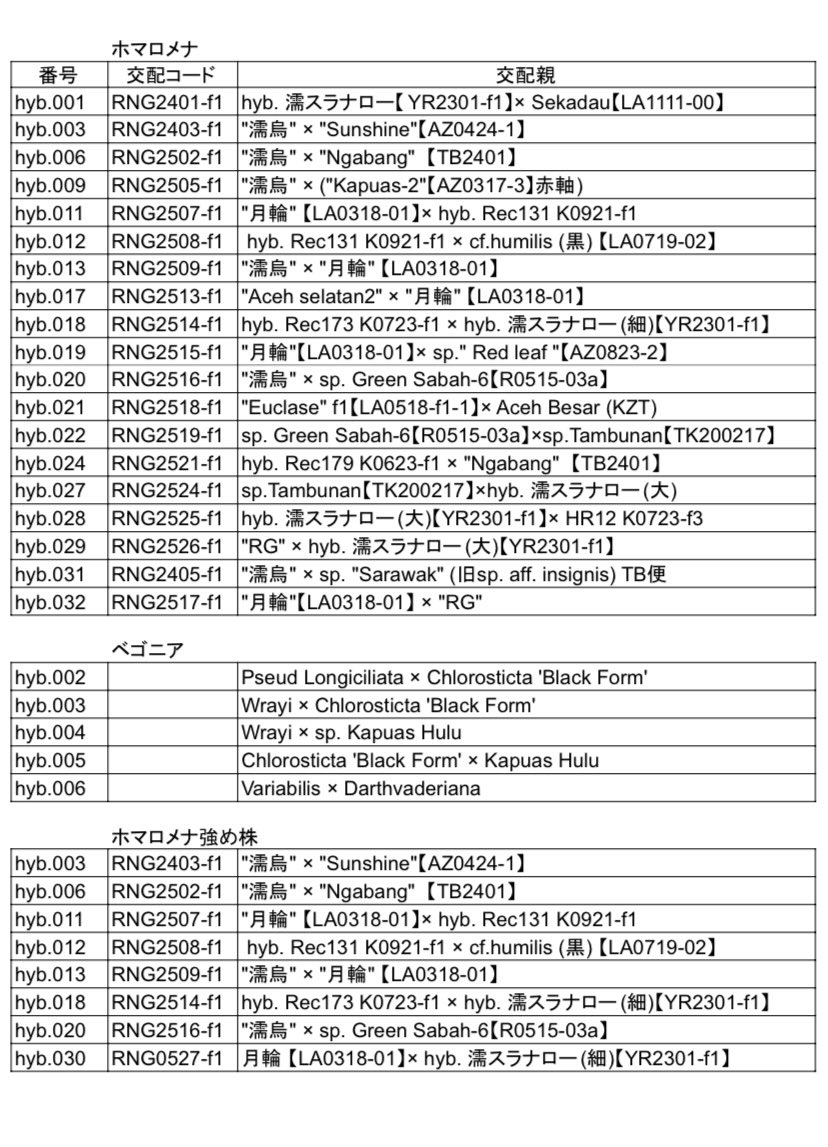 ringo_aqua tweet media