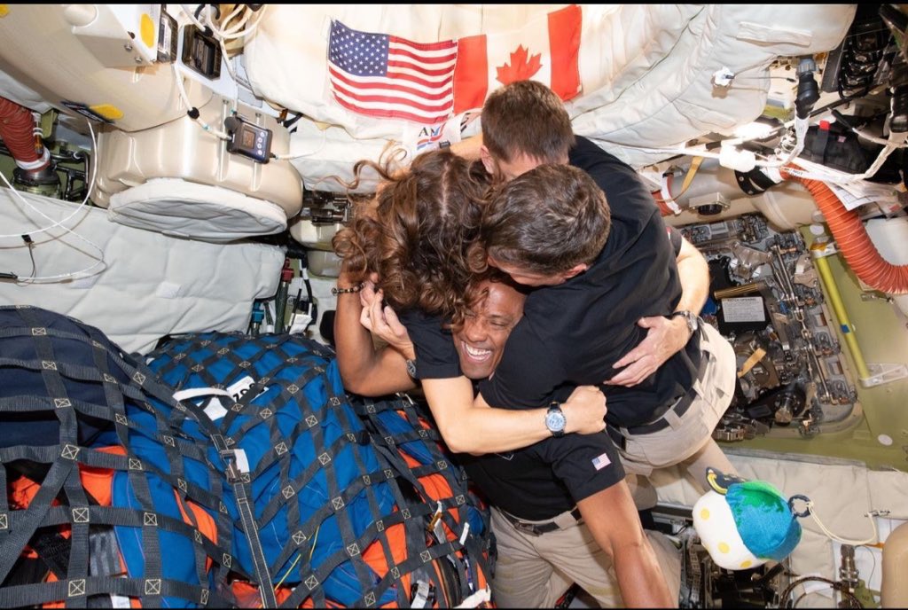 project hail dado ⚢ tweet media