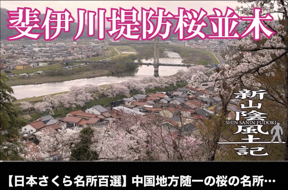 🦑しまねのカマちゃんねる🧖‍♂️ tweet media