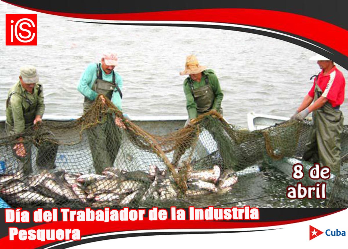 Instituto de Información y Comunicación Social tweet media