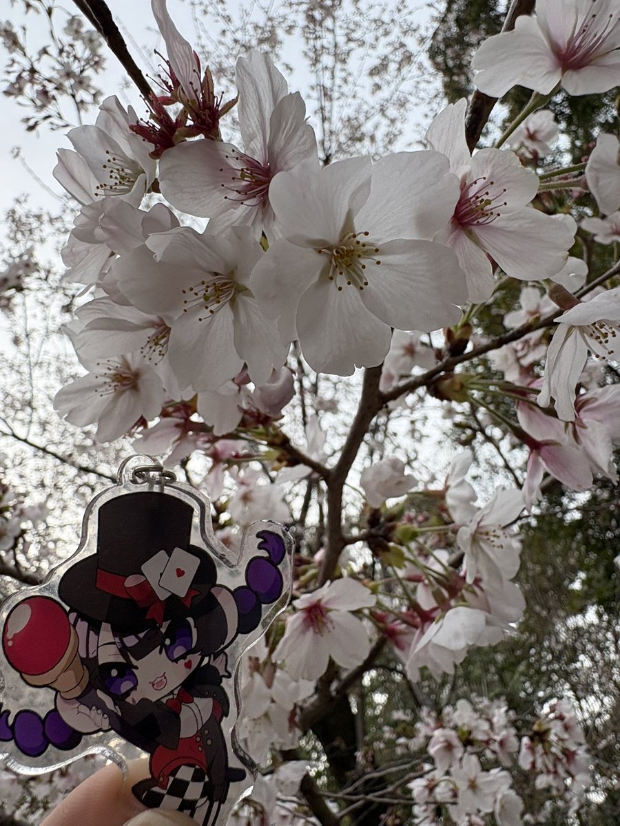 HP2 ♻︎. tweet media