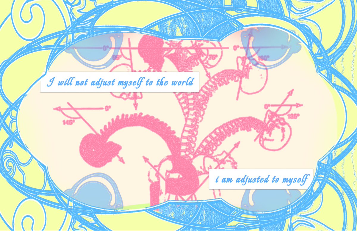 zee 💫 tweet media