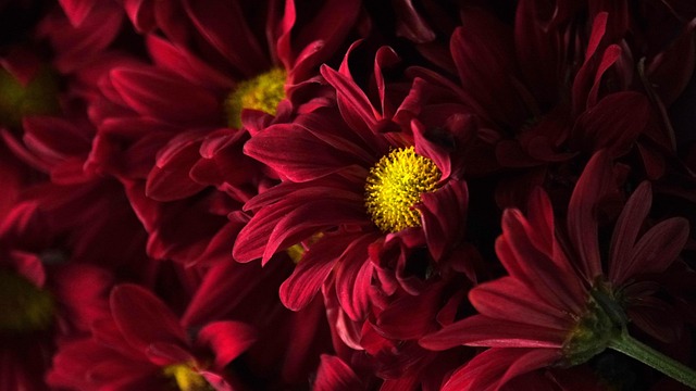 Gabriel Douglas tweet media