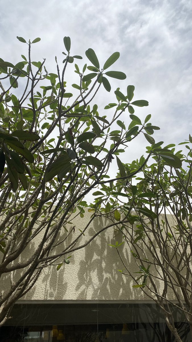 𝐸𝐼𝒯𝐻𝒜𝑅 | OT🪽 tweet media