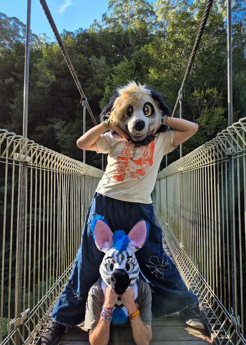 PupStripes's tweet photo. Top on the bottom, bottom on top~ 🤭😇
🐶 @downbeatpoodle 
📸 @WattleBarks 
#Furry #Forest #NatureWalk https://t.co/O71lHK7C3o