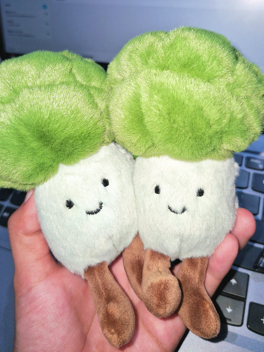 naii'📖 tweet media