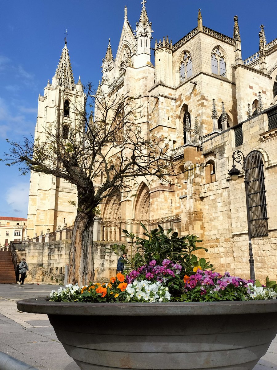 Fachada sur de la Pulchra Leonina
León #RegiónLeonesa