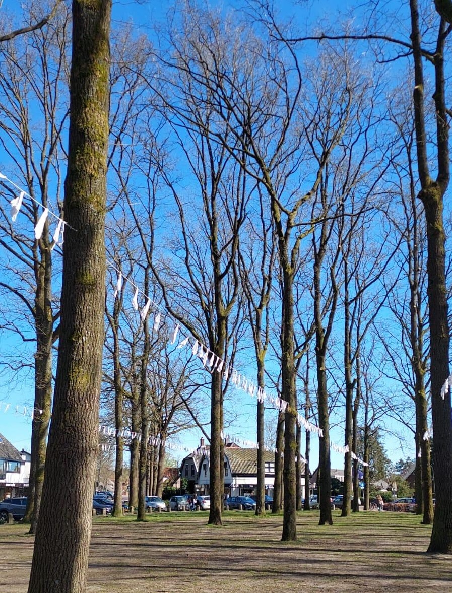 Elise Steilberg tweet media